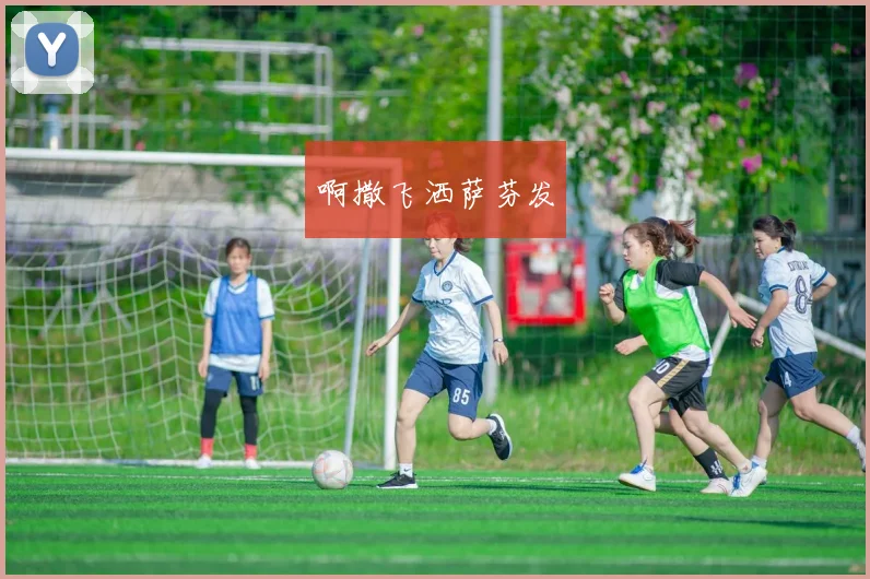中超联赛历史回顾:经典瞬间与冠军球队盘点